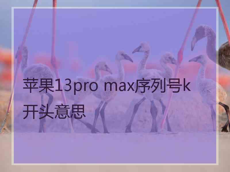 苹果13pro max序列号k开头意思