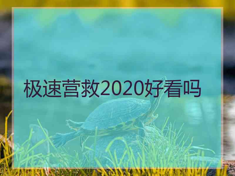 极速营救2020好看吗