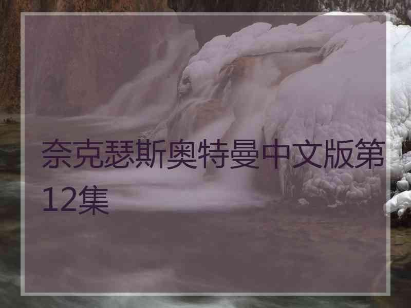 奈克瑟斯奥特曼中文版第12集