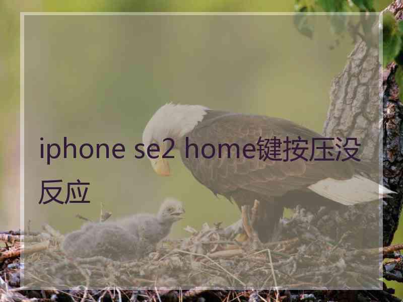 iphone se2 home键按压没反应