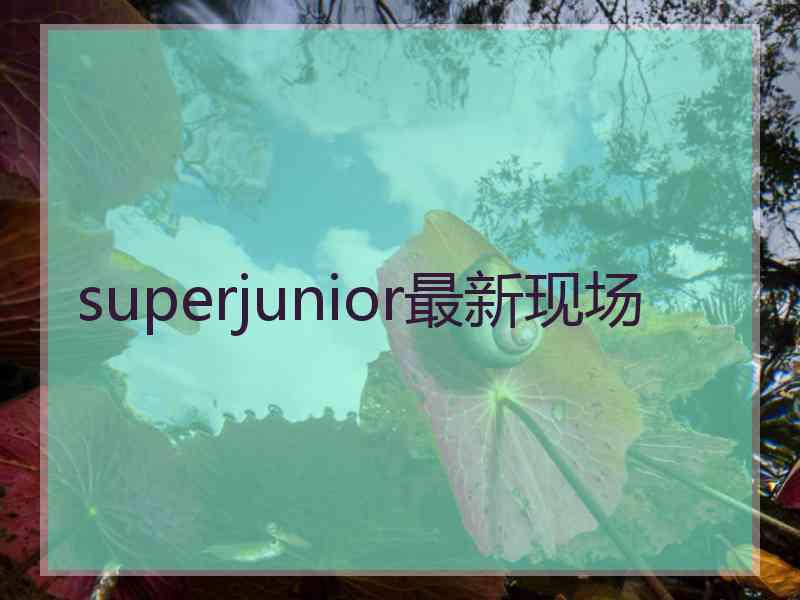 superjunior最新现场