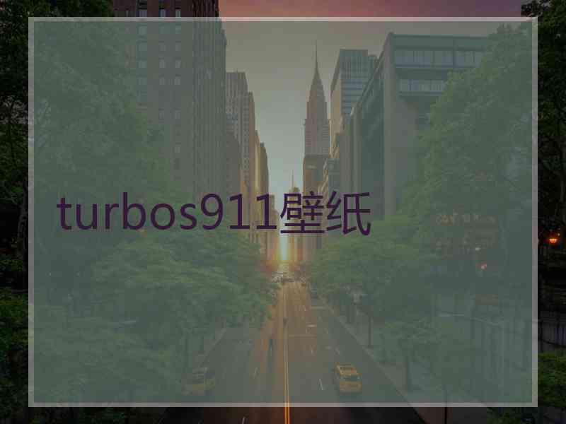 turbos911壁纸