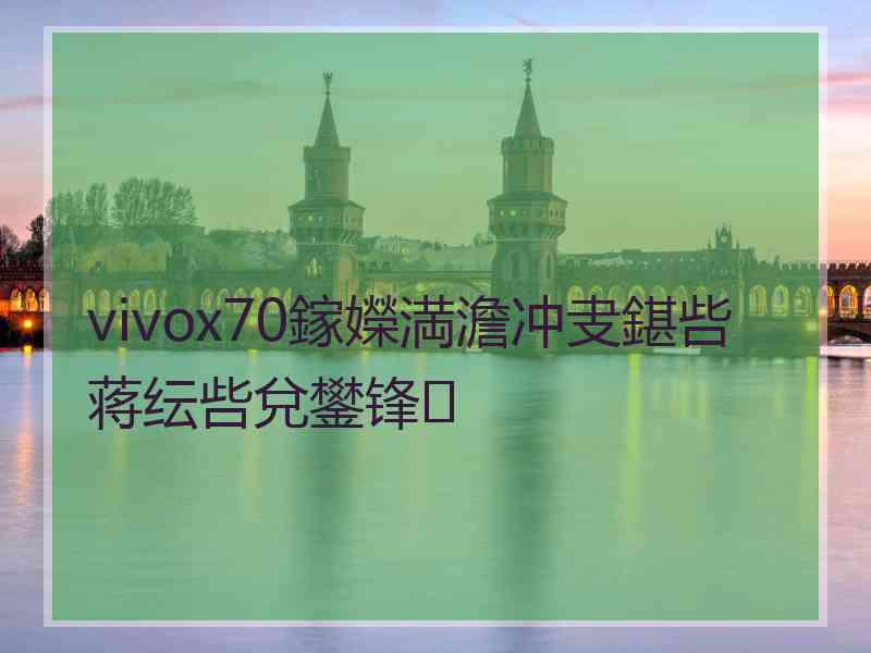 vivox70鎵嬫満澹冲叏鍖呰蒋纭呰兌鐢锋