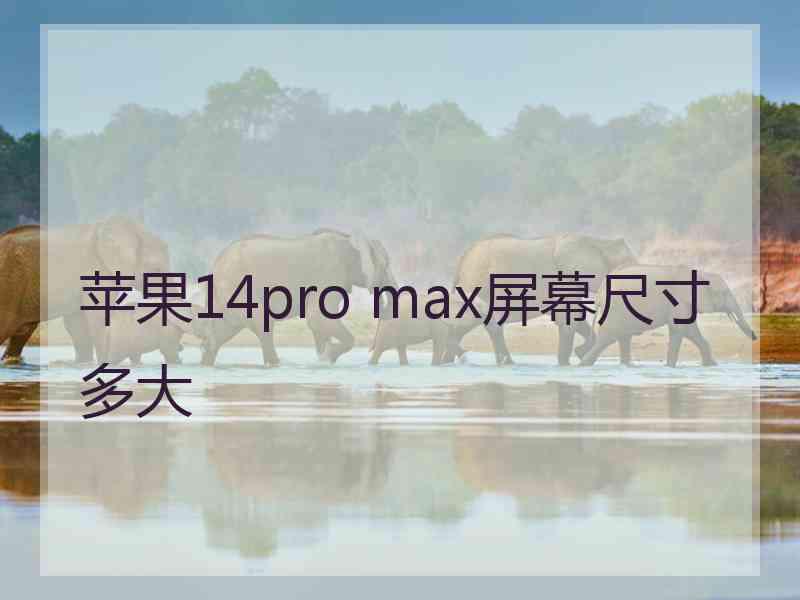 苹果14pro max屏幕尺寸多大