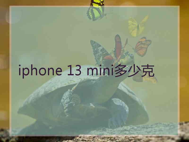 iphone 13 mini多少克