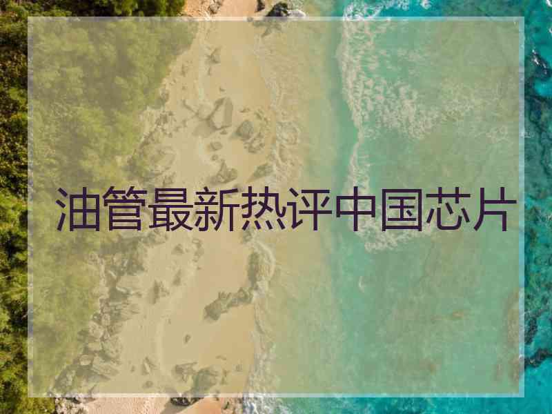 油管最新热评中国芯片