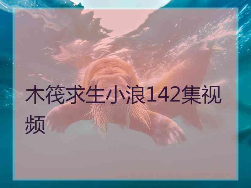 木筏求生小浪142集视频