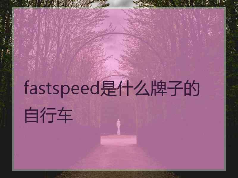 fastspeed是什么牌子的自行车