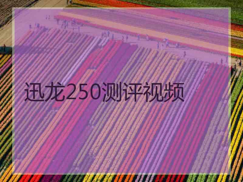 迅龙250测评视频