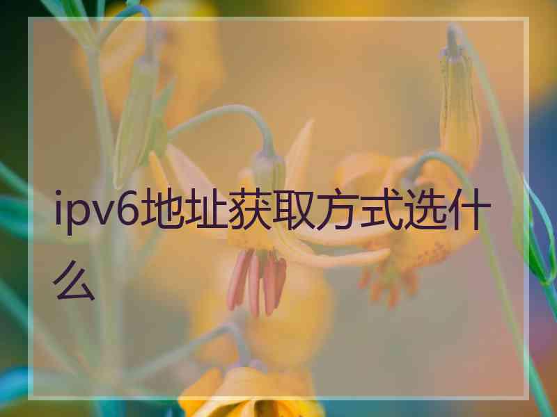 ipv6地址获取方式选什么