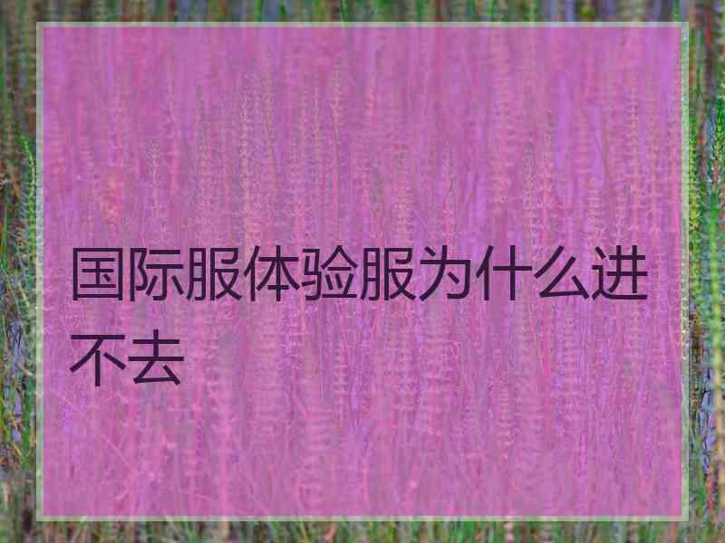 国际服体验服为什么进不去