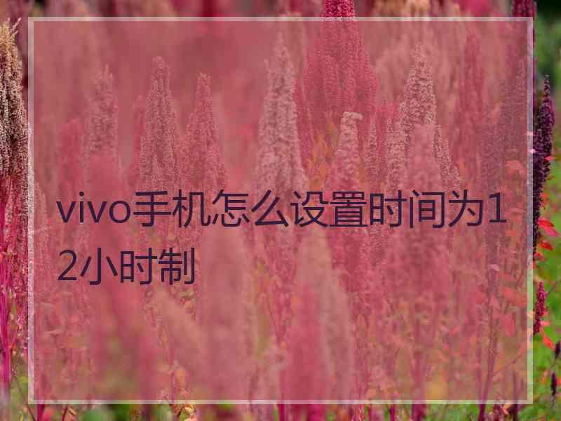 vivo手机怎么设置时间为12小时制