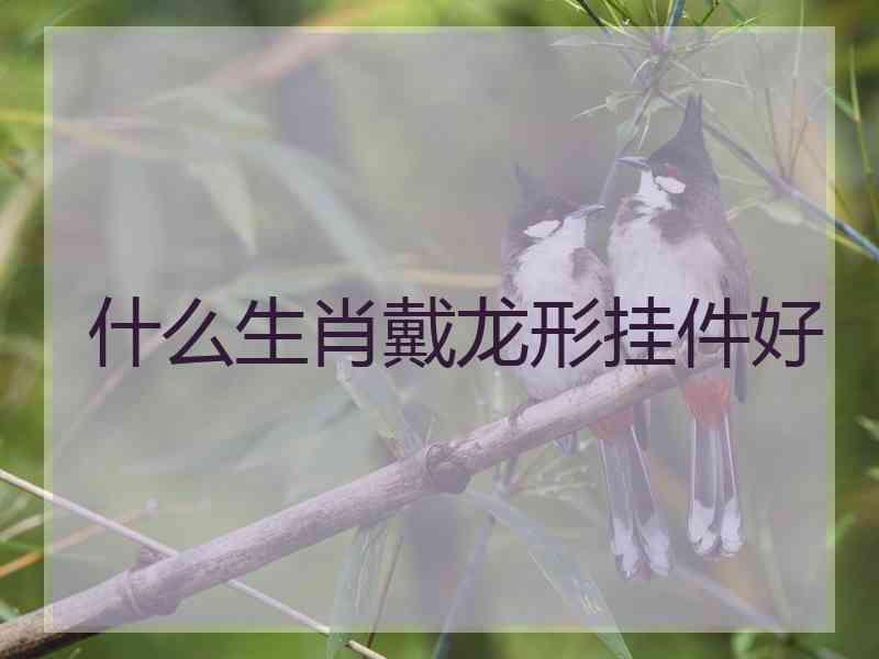 什么生肖戴龙形挂件好