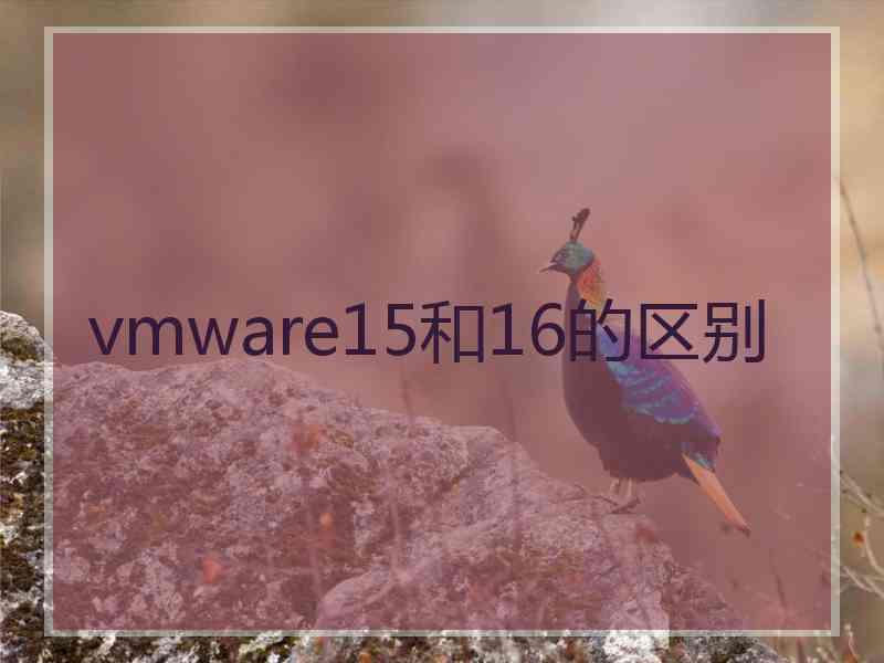 vmware15和16的区别