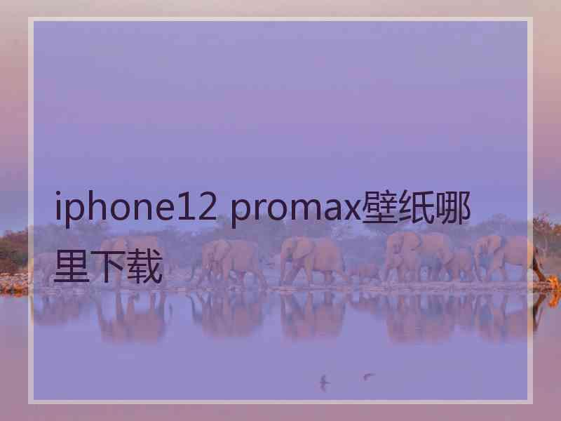 iphone12 promax壁纸哪里下载