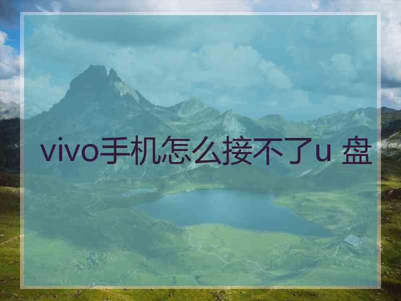 vivo手机怎么接不了u 盘