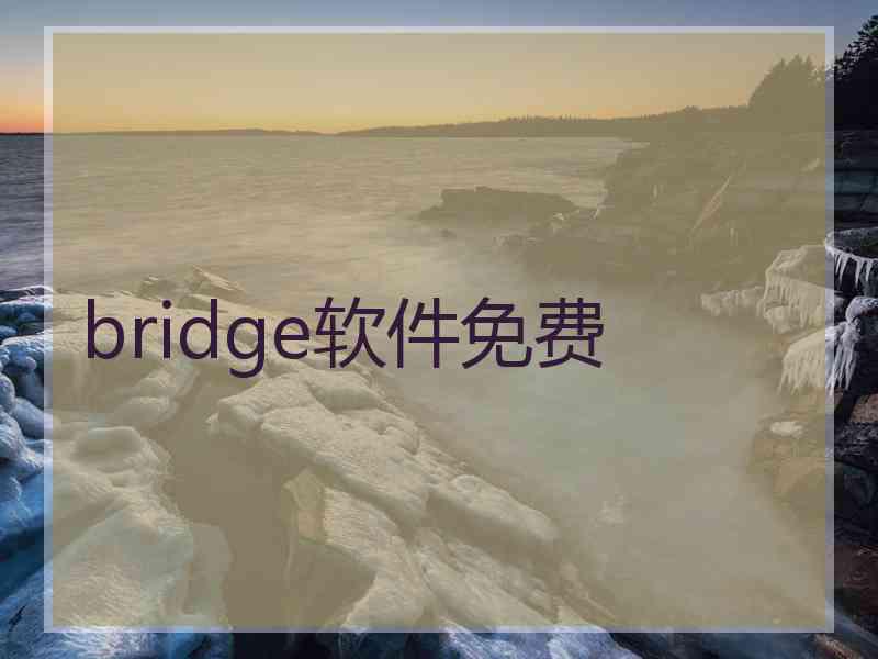 bridge软件免费