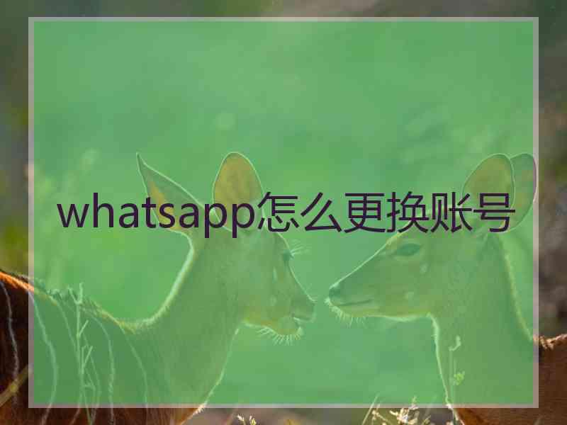 whatsapp怎么更换账号