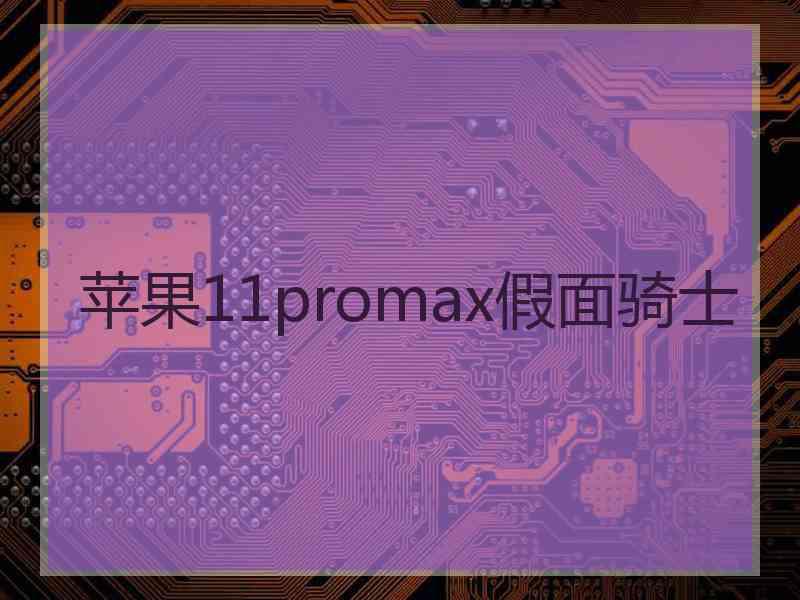 苹果11promax假面骑士