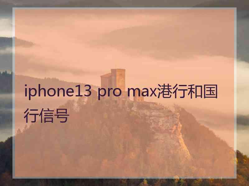 iphone13 pro max港行和国行信号