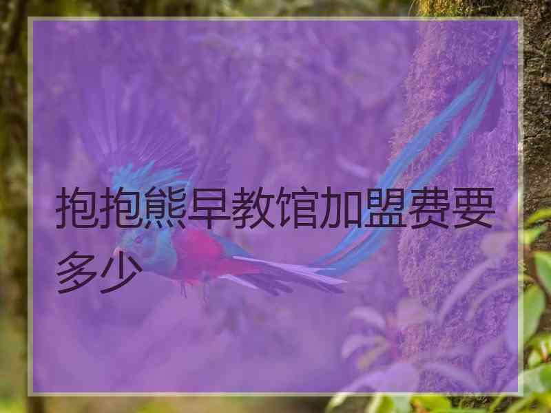 抱抱熊早教馆加盟费要多少