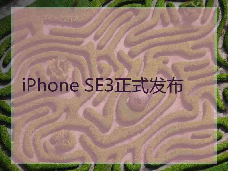 iPhone SE3正式发布