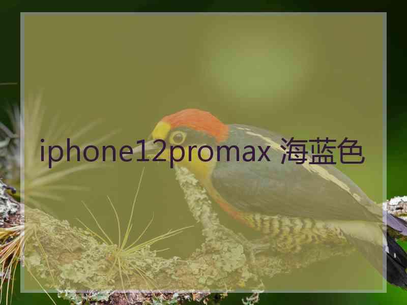 iphone12promax 海蓝色