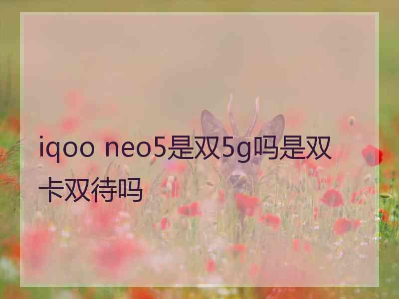 iqoo neo5是双5g吗是双卡双待吗