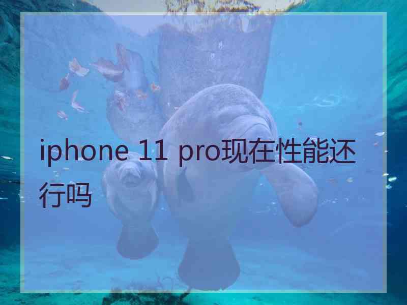 iphone 11 pro现在性能还行吗