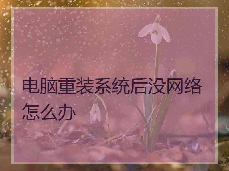 电脑重装系统后没网络怎么办