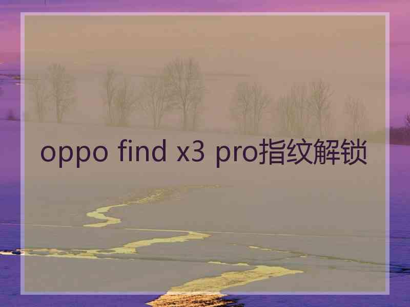 oppo find x3 pro指纹解锁