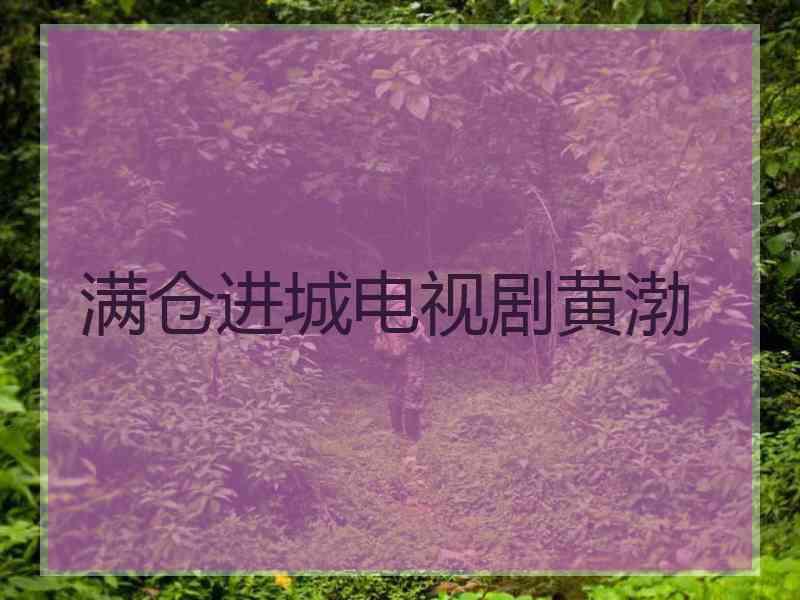 满仓进城电视剧黄渤