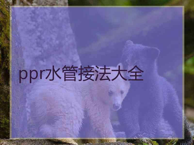 ppr水管接法大全