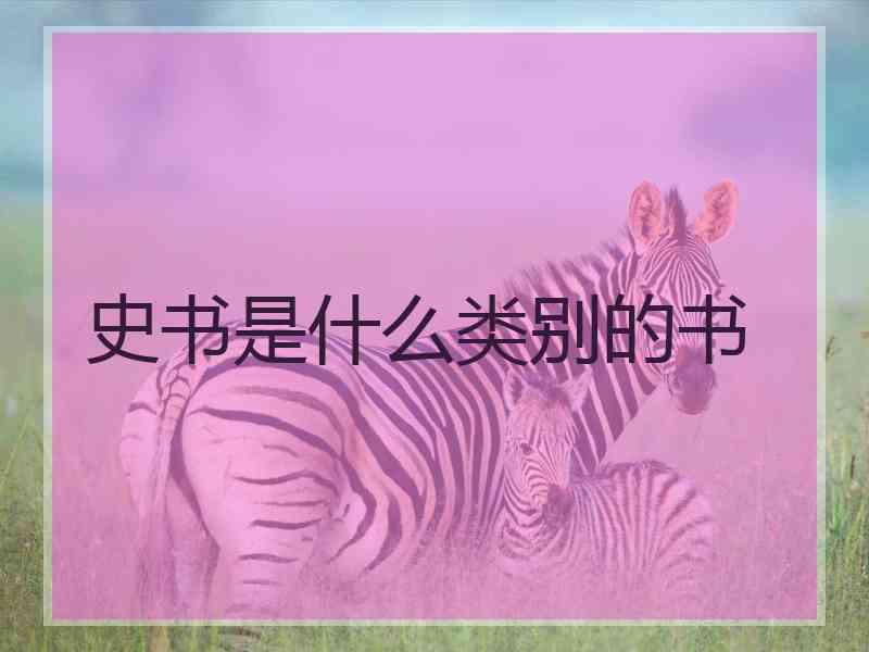 史书是什么类别的书