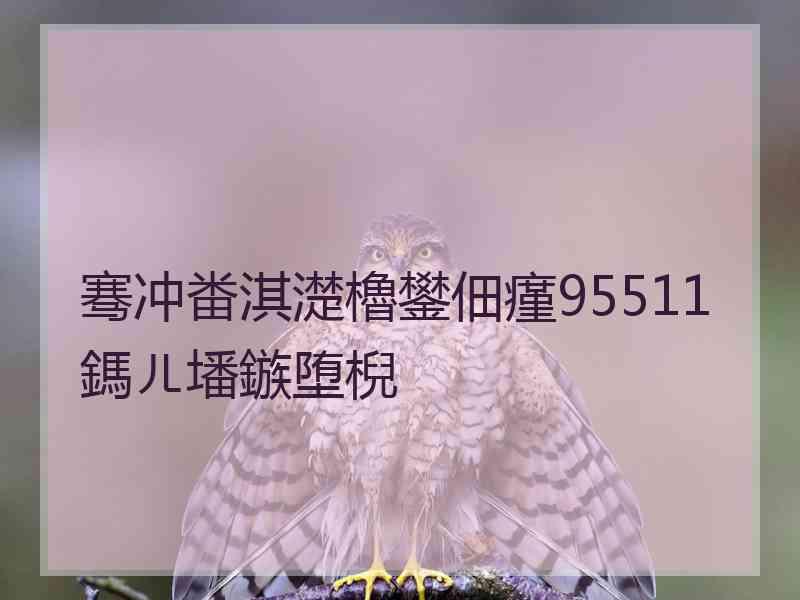 骞冲畨淇濋櫓鐢佃瘽95511鎷ㄦ墦鏃堕棿