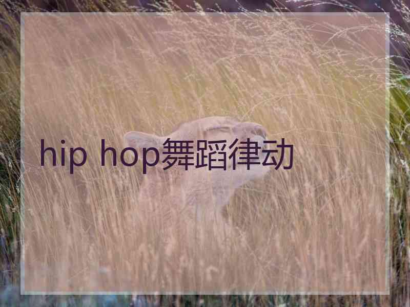 hip hop舞蹈律动