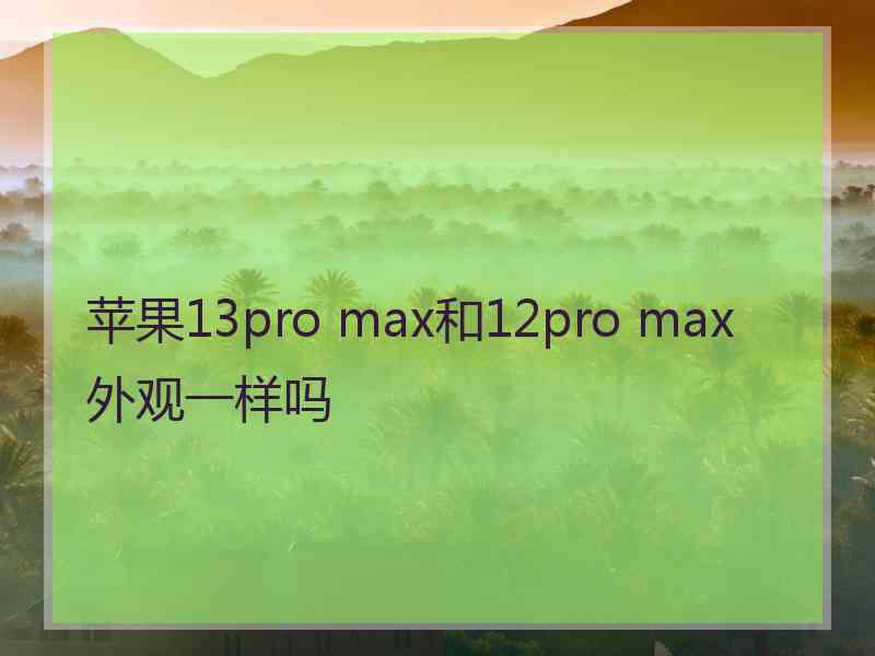 苹果13pro max和12pro max外观一样吗