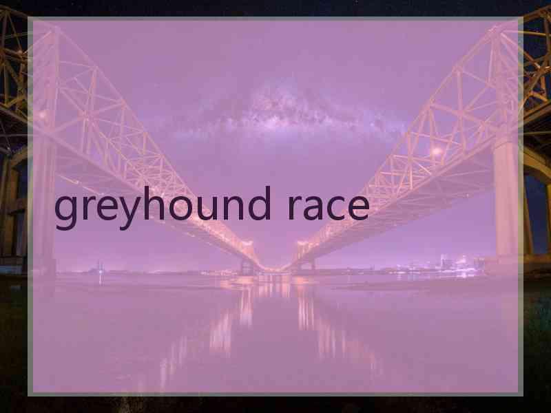 greyhound race