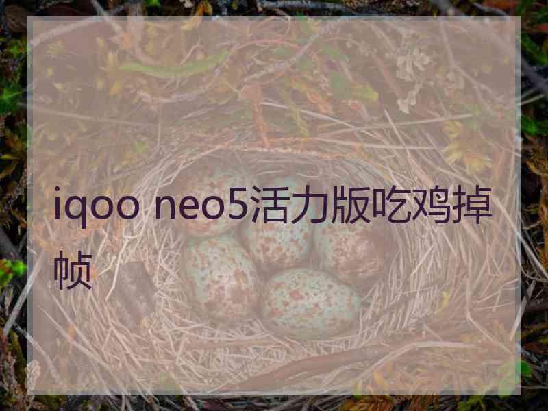 iqoo neo5活力版吃鸡掉帧