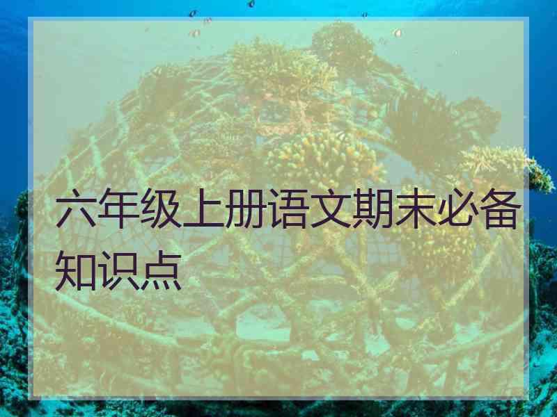 六年级上册语文期末必备知识点