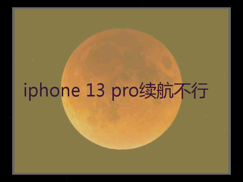 iphone 13 pro续航不行