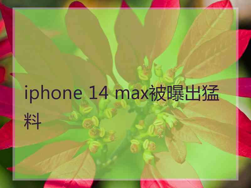 iphone 14 max被曝出猛料