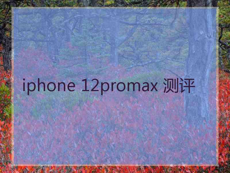 iphone 12promax 测评