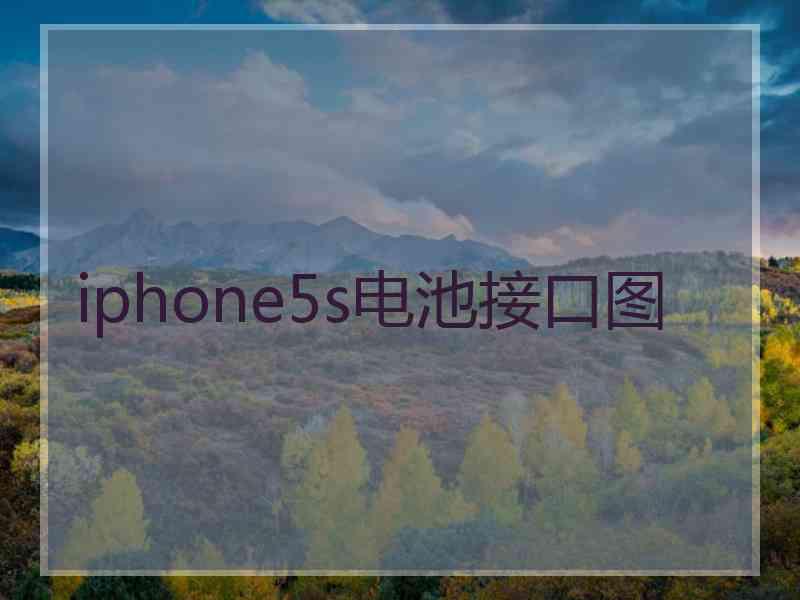 iphone5s电池接口图