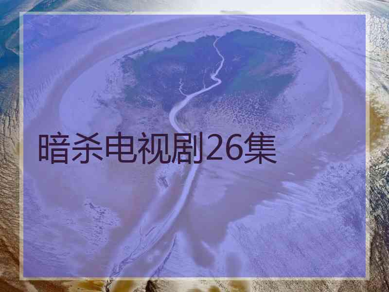 暗杀电视剧26集