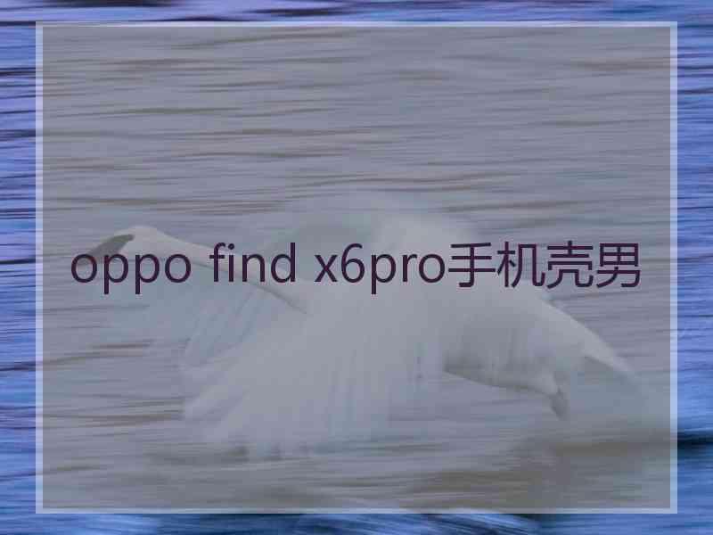 oppo find x6pro手机壳男