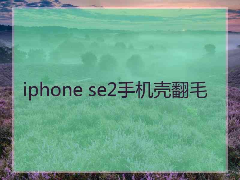 iphone se2手机壳翻毛