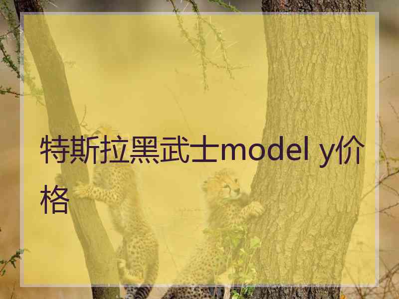 特斯拉黑武士model y价格