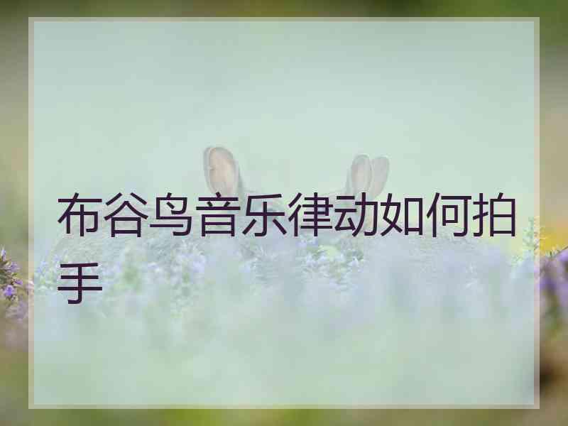 布谷鸟音乐律动如何拍手