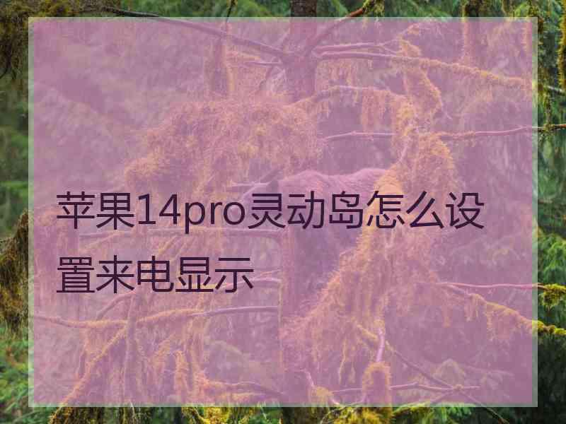 苹果14pro灵动岛怎么设置来电显示